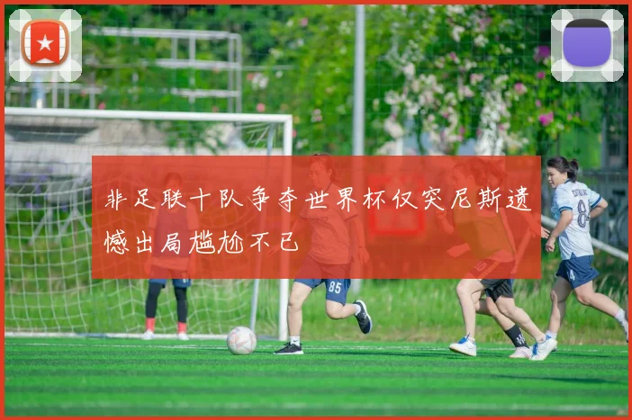 非足联十队争夺世界杯仅突尼斯遗憾出局尴尬不已